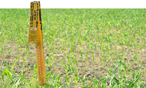 Pipeline sign in cornfield