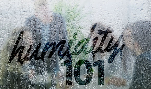 Building Humidity 101