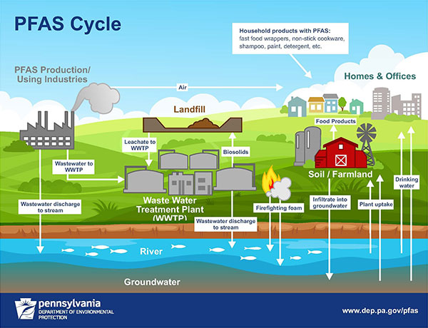 PFAS Cycle Graphic (PA DEP)