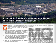 Marcellus Quarterly Article