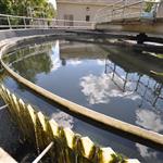  Bor-of-Orwigsburg_WWTP-Imp_Web-PP