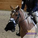  West-Chester-Equestrian-Toxicology-Lab-Web-PP