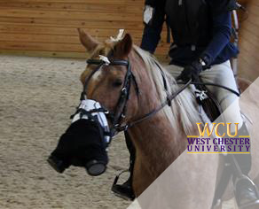  West-Chester-Equestrian-Toxicology-Lab-Web-PP